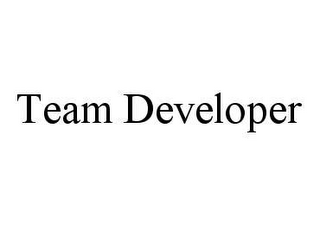 TEAM DEVELOPER