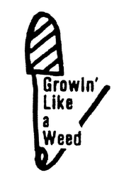 GROWIN' LIKE A WEED