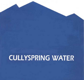 CULLYSPRING WATER