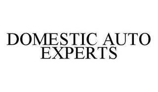 DOMESTIC AUTO EXPERTS