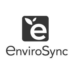 E ENVIROSYNC