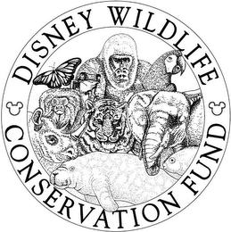 DISNEY WILDLIFE CONSERVATION FUND