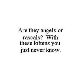 ARE THEY ANGELS OR RASCALS? WITH THESE KITTENS YOU JUST NEVER KNOW.