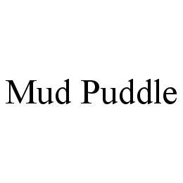 MUD PUDDLE