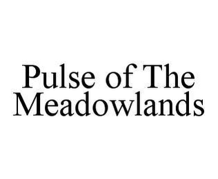 PULSE OF THE MEADOWLANDS