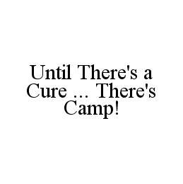 UNTIL THERE'S A CURE ... THERE'S CAMP!