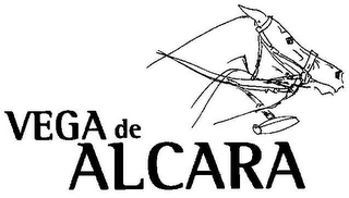 VEGA DE ALCARA