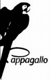 PAPPAGALLO