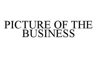 PICTURE OF THE BUSINESS