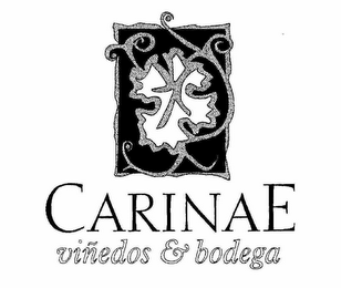 CARINAE VIÑEDOS & BODEGAS