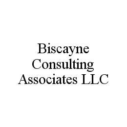 BISCAYNE CONSULTING ASSOCIATES LLC