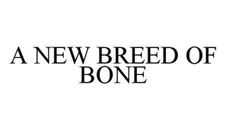 A NEW BREED OF BONE