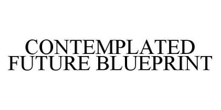 CONTEMPLATED FUTURE BLUEPRINT