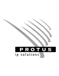 PROTUS IP SOLUTIONS