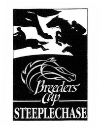 BREEDERS' CUP STEEPLECHASE