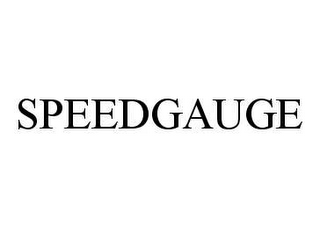 SPEEDGAUGE