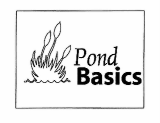 POND BASICS