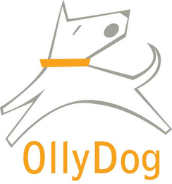 OLLYDOG