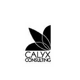 CALYX CONSULTING