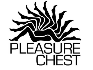 PLEASURE CHEST