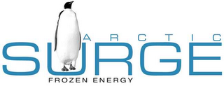 ARCTIC SURGE -- FROZEN ENERGY