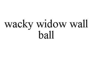 WACKY WIDOW WALL BALL