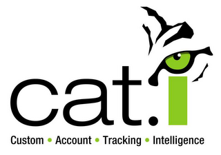 CAT.I CUSTOM ACCOUNT TRACKING INTELLIGENCE