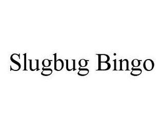 SLUGBUG BINGO