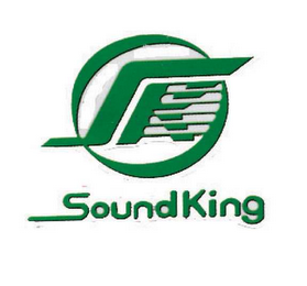 SK SOUNDKING