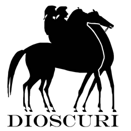 DIOSCURI