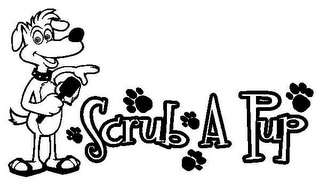 SCRUB A PUP