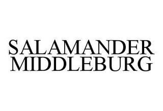 SALAMANDER MIDDLEBURG