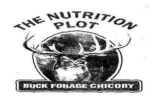 THE NUTRITION PLOT BUCK FORAGE CHICORY