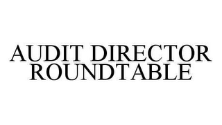 AUDIT DIRECTOR ROUNDTABLE