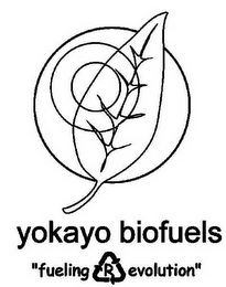 YOKAYO BIOFUELS "FUELING R EVOLUTION"