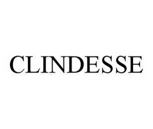 CLINDESSE