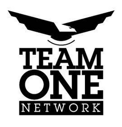 TEAM ONE NETWORK