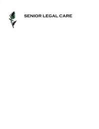 SENIOR LEGAL CARE