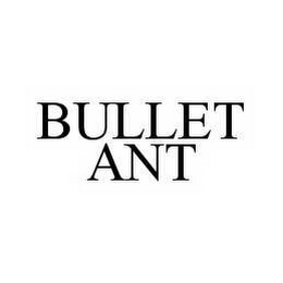 BULLET ANT