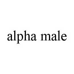 ALPHA MALE