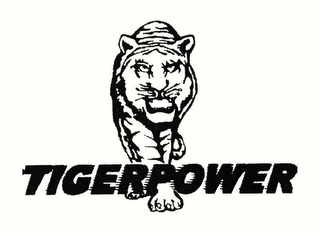 TIGERPOWER