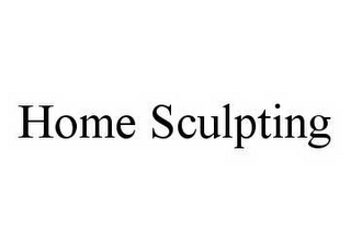 HOME SCULPTING