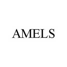 AMELS