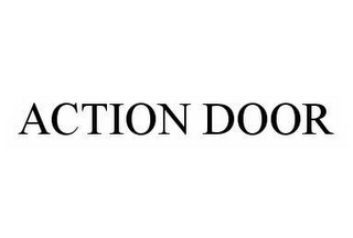 ACTION DOOR