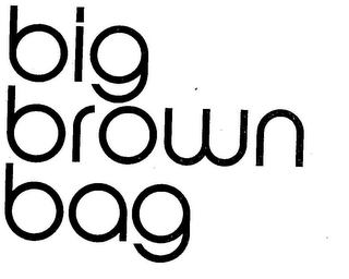 BIG BROWN BAG