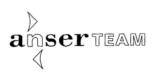 ANSER TEAM