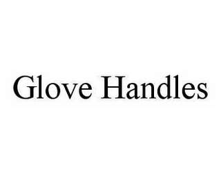 GLOVE HANDLES