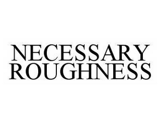 NECESSARY ROUGHNESS