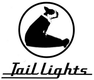 TAIL LIGHTS