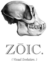 ZOIC. (VISUAL EVOLUTION.)